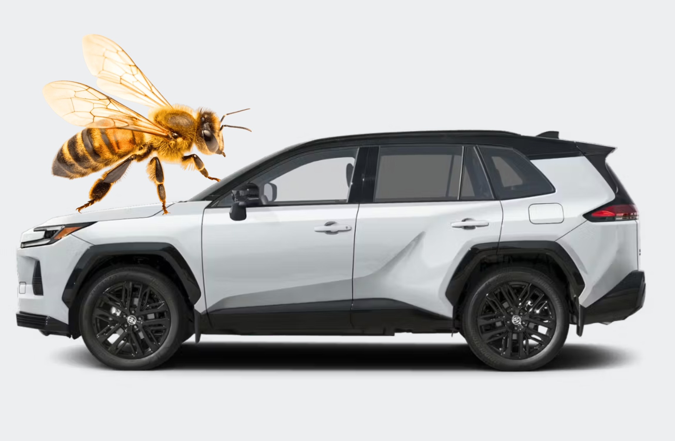 Two Smart Ways to Take the Financial Sting Out of Car Ownership